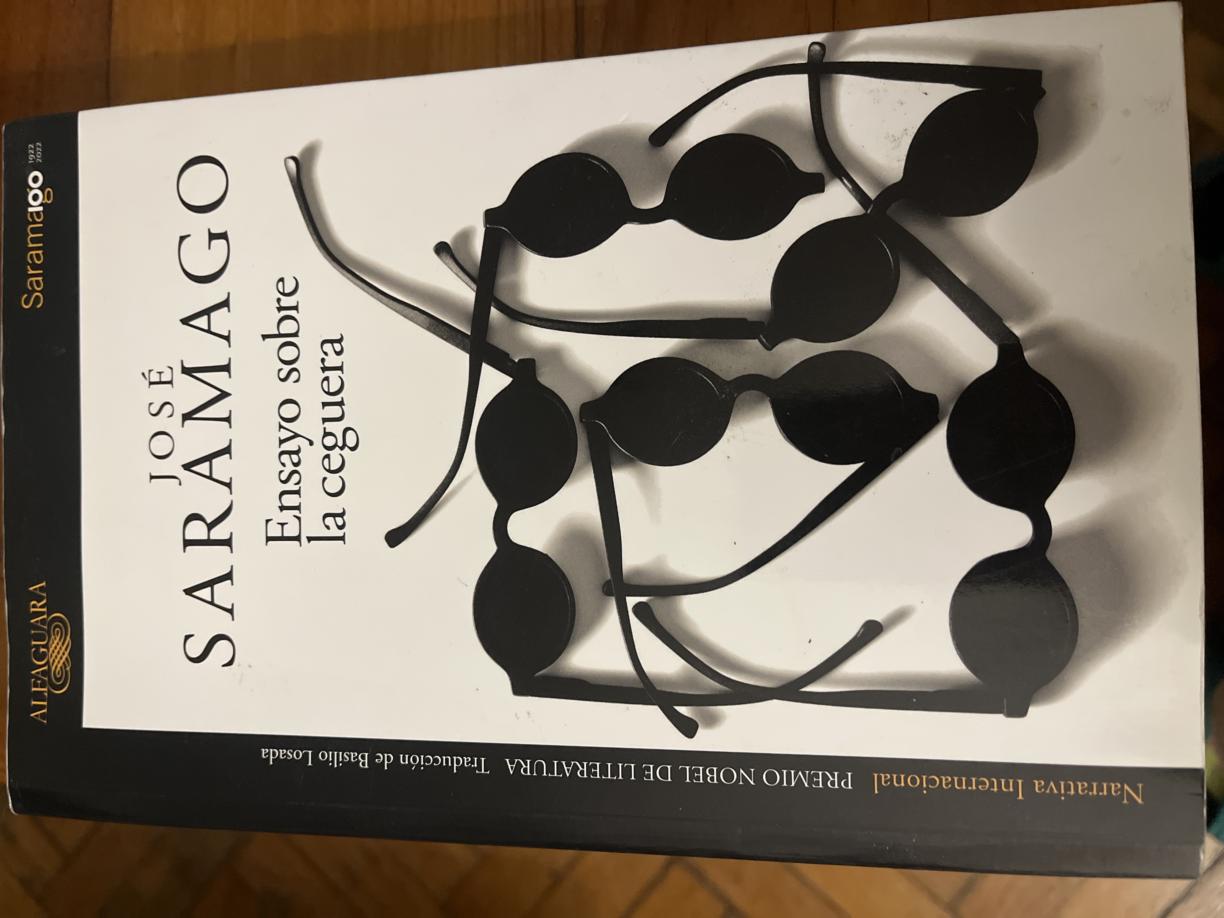 Ensayo sobre la ceguera.